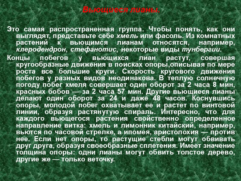 Вьющиеся лианы.  Это самая распространенная группа. Чтобы понять, как они выглядят, представьте себе